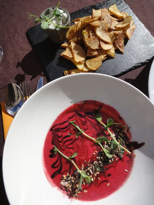 Beetroot soup at Green Pumpkin in Riga