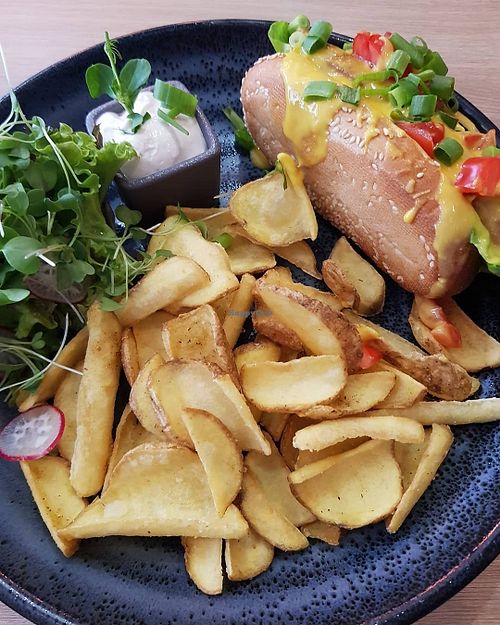 Curly fries (AMAZING!!!) w/ Hot Dog w/ veggies and cheeeeeeeese at Green Pumpkin in Riga