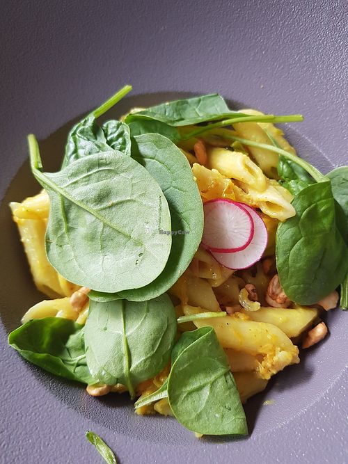 Pasta at Green Pumpkin in Riga