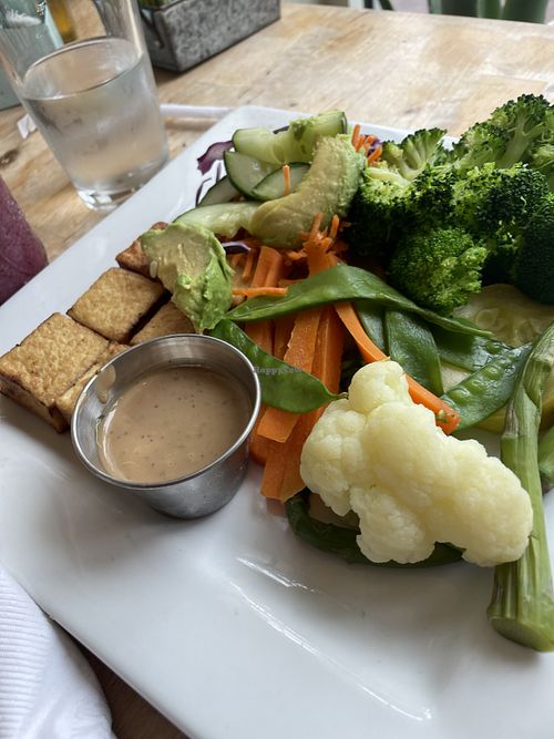 Juice and Java Miami Beach Florida Restaurant HappyCow