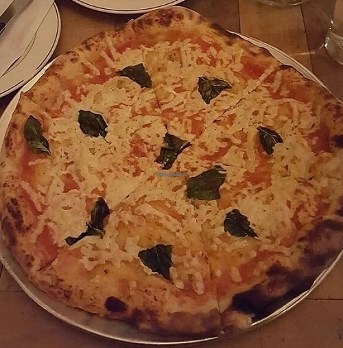 ditmas pie with vegan cheese  at Wheated in Brooklyn