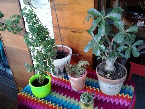 Raw seasonings at Org Bistro in Rio De Janeiro