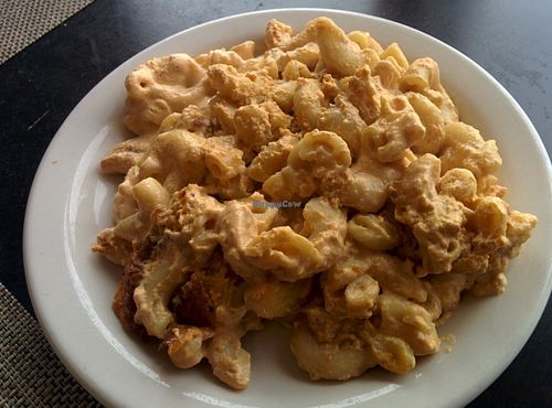 Creamy, comfort food - delicious Mac & cheese at Soul Vegetarian in Tallahassee