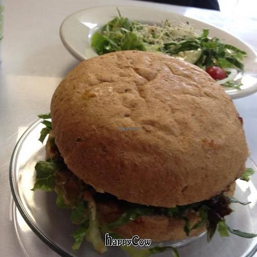 Garvey burger with side salad at Soul Vegetarian in Tallahassee