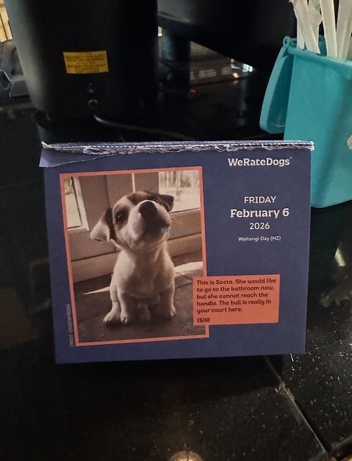 Atomic Coffee calendar by We Rate Dogs at Atomic Coffee in Fargo