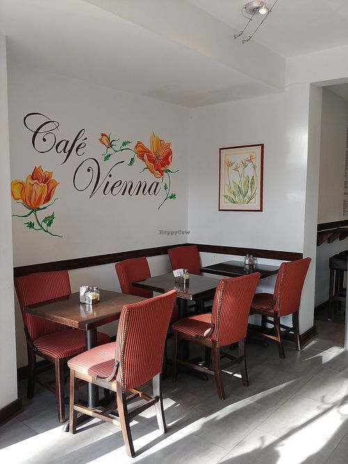 Cafe at Cafe Vienna in Princeton