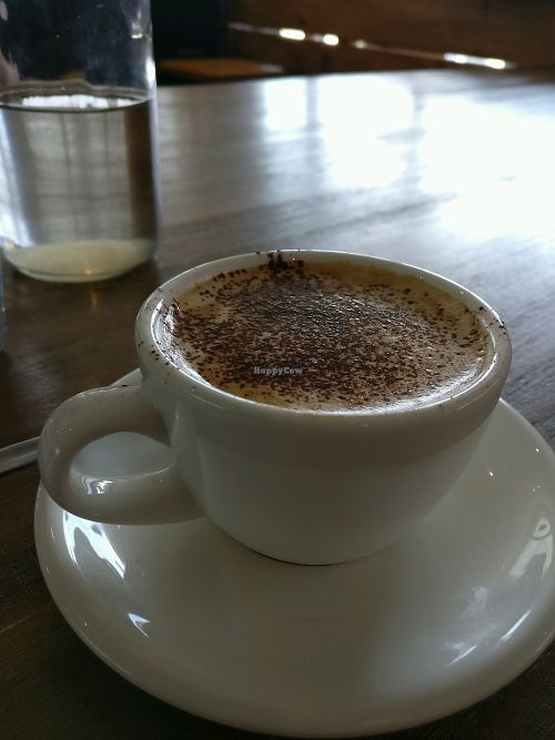 soy cap at Little River in Brunswick