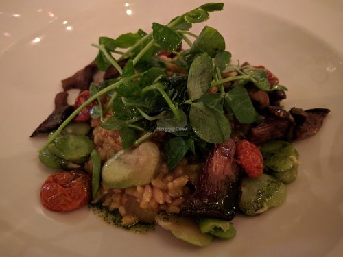 Entree - risotto with oyster mushrooms at Natural Gourmet Institute in New York City