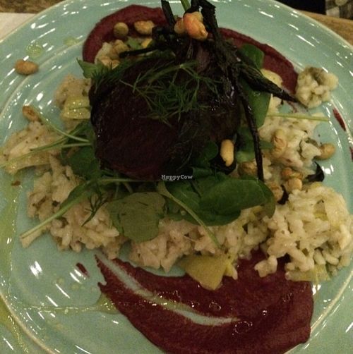 beetroot risotto plate  at Painted Elephant in Newcastle Upon Tyne