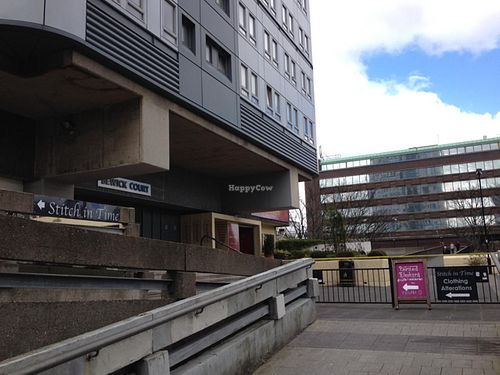 approaching from the ramp off Northumberland St at Painted Elephant in Newcastle Upon Tyne