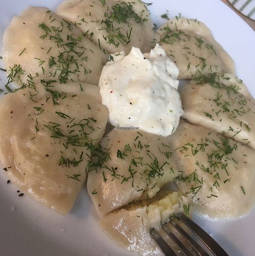dumplings  at Mamacoffee in Prague