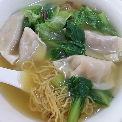dumpling soup noodle  at Onn Vegetarian 安顺素食 in Central Singapore