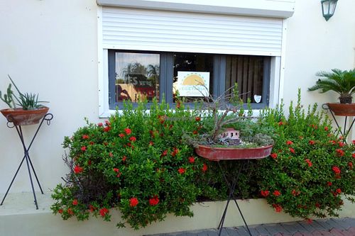 Vegetarian Delight at Vegetarian Delight in Oranjestad