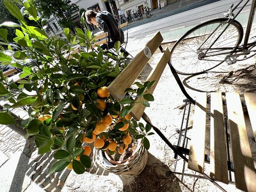 outside  at Cat Tuong in Berlin