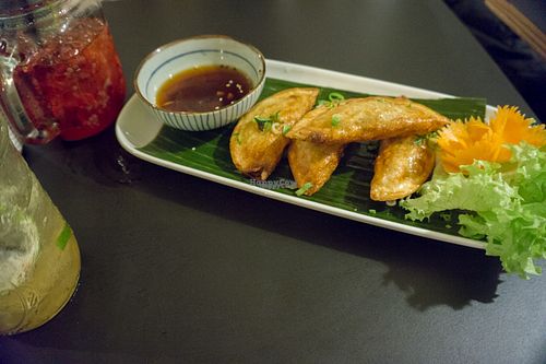 Fried Dumplings at Cat Tuong in Berlin
