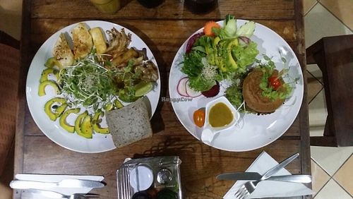 mushroom salad & vegi burger + avo at Bubbles Live in Chiang Mai