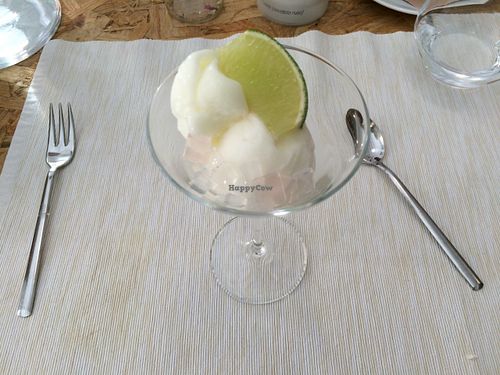 Lime sorbet with agar-agar vegan gelatin cubes at El Vergel Veggie Restaurant in Tarragona