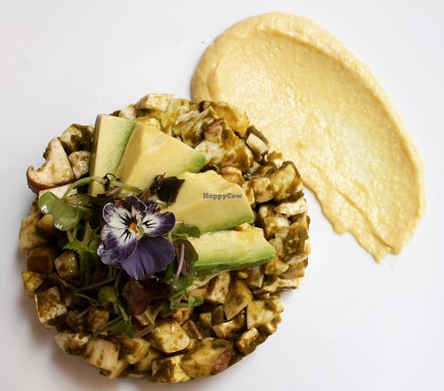 Tofu and mushrooms ceviche with avocado and corn purée  at El Vergel Veggie Restaurant in Tarragona
