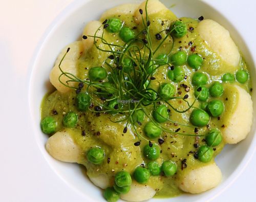 Potatoe gnocchi with green peas sauce  at El Vergel Veggie Restaurant in Tarragona