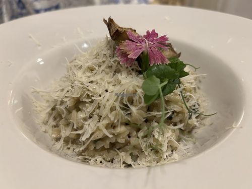 ARTICHOKE AND SPINACH RISOTTO WITH VEGAN CHEESE  at El Vergel Veggie Restaurant in Tarragona