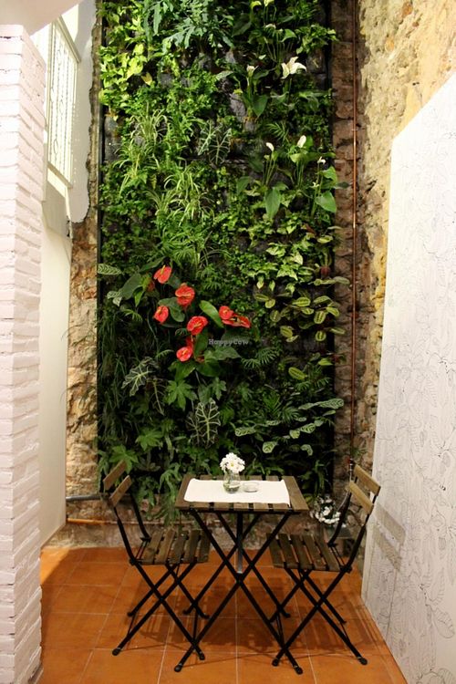 Amazing seven meters high green wall! at El Vergel Veggie Restaurant in Tarragona