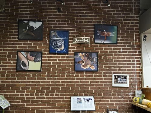 Owner's Photography at Raw Fresno in Fresno