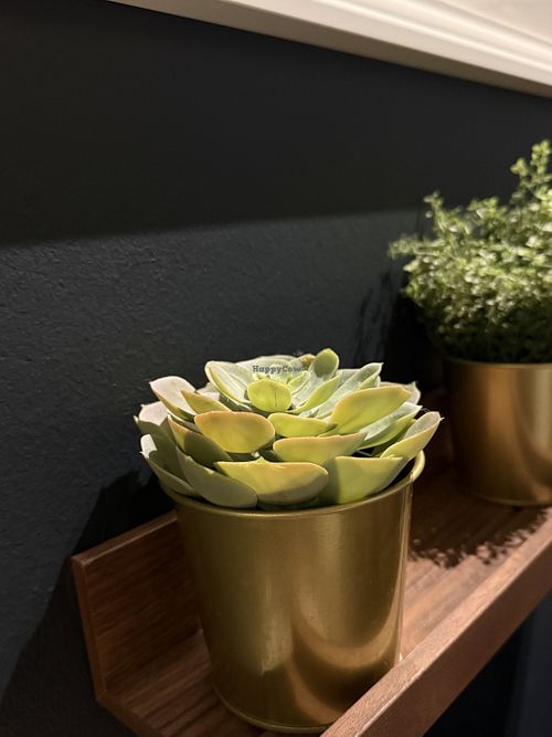 inside  at My Heart Beats Vegan in Karlsruhe