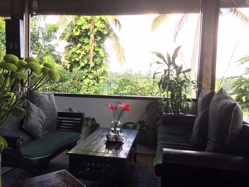 seats with a view at Elephant Cafe in Ubud