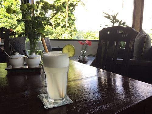 view and lime juice at Elephant Cafe in Ubud