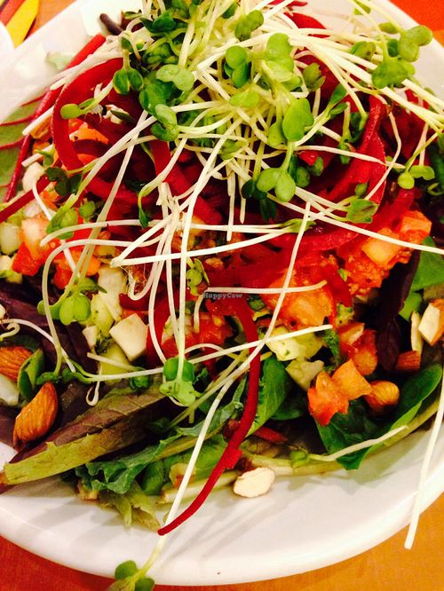 OC Raw Chopper at Native Foods Cafe in Falls Church