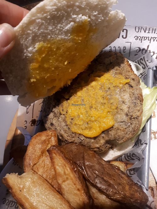 Inside of the burger at Marcopolo Freelife in Ushuaia