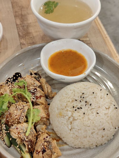 Soy chicken rice at Nature Cafe 自然疏食 - The Aperia in Central Singapore