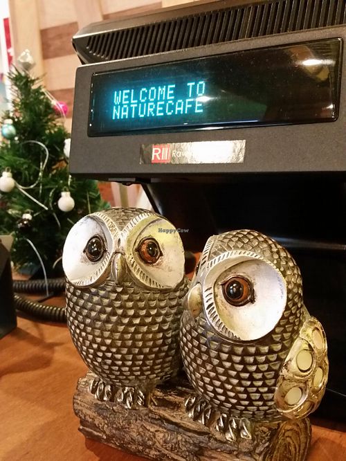 owl & cash register at Nature Cafe 自然疏食 - The Aperia in Central Singapore