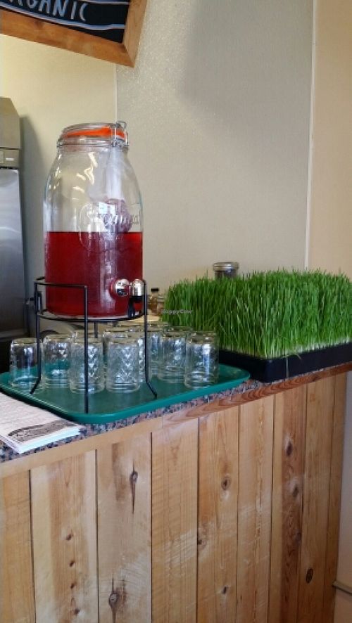 Free Tea offered with Meal at Easy Living Foods in Novato