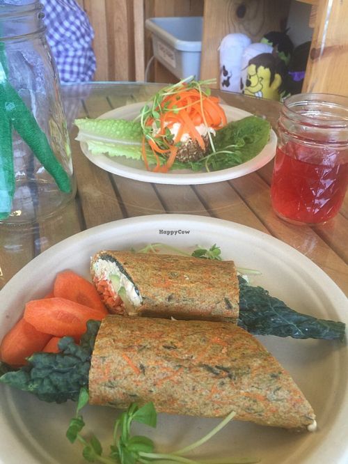 Veggie wrap and pizza at Easy Living Foods in Novato