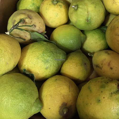 local lemons at Etenoha in Torremolinos