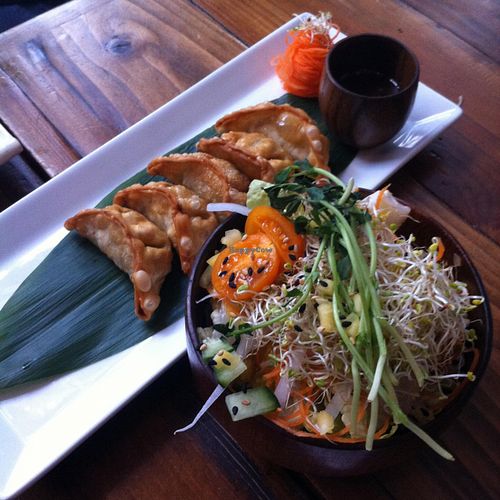 dumplings & salad at Sushi Momo in Montreal