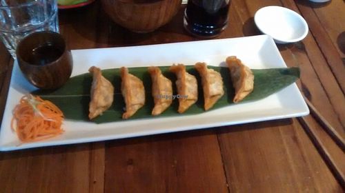 Dumplings at Sushi Momo in Montreal
