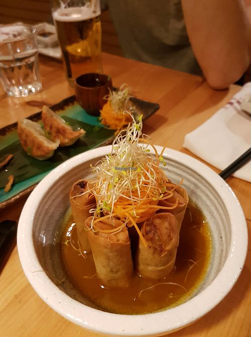 Spring rolls at Sushi Momo in Montreal
