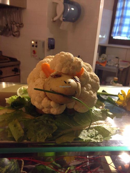 Cauliflower sheep at Pecorallegra in Termoli