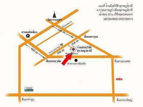 Suratthani vegetarian / Thailand at SuratThani Vegetarian in Surat Thani