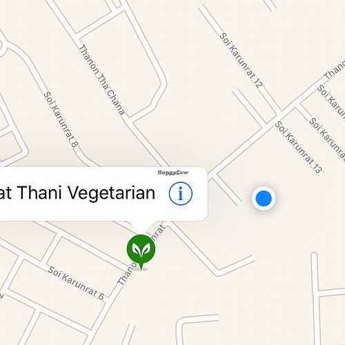 Actual location in the blue dot. (north up) at SuratThani Vegetarian in Surat Thani