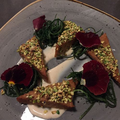 fancy entree at Romeow Cat Bistrot in Rome