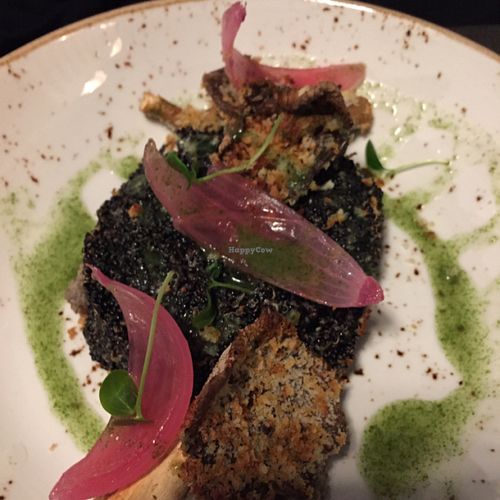 another fancy entree at Romeow Cat Bistrot in Rome