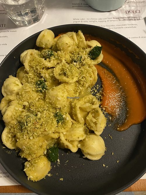   at Romeow Cat Bistrot in Rome