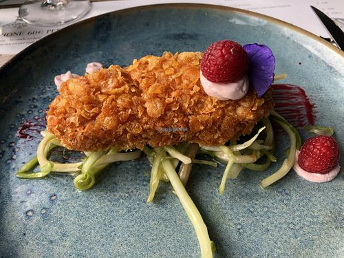 Tofu   at Romeow Cat Bistrot in Rome