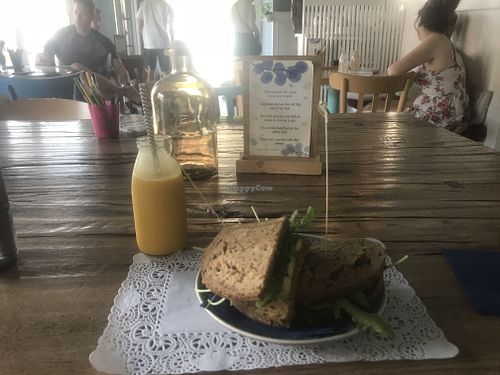 Smoothie and sandwich at Romeow Cat Bistrot in Rome