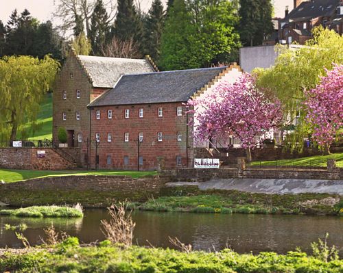 1 at Hullabaloo in Dumfries