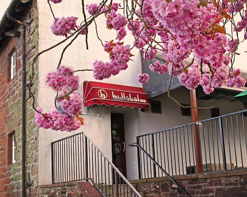 2 at Hullabaloo in Dumfries