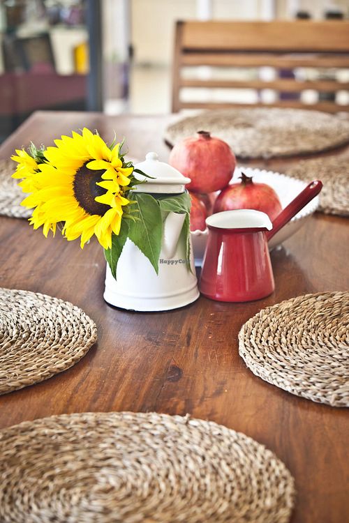 Feeling ecological nature at Cositasricas in Ibiza